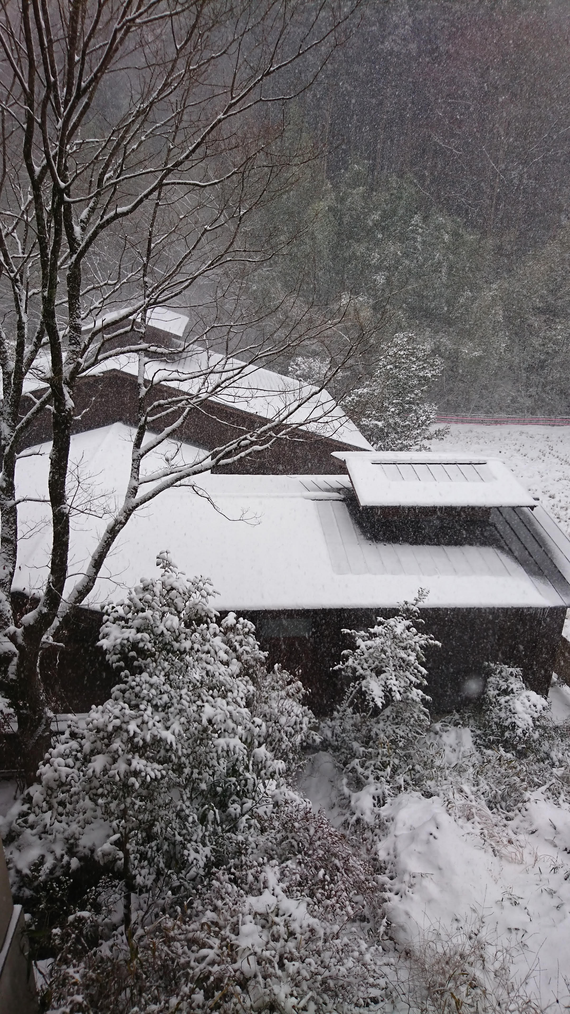 19年1月 黒川温泉 旅館 壱の井ブログ